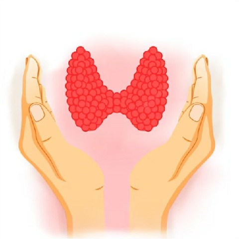 Hormones amp Thyroid Test Logo
