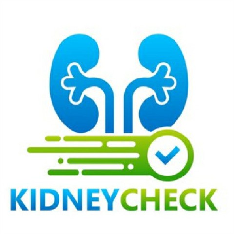 Kidney Function Test