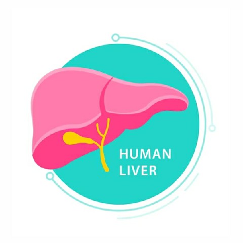 Liver Function Test Logo Liver Function Test